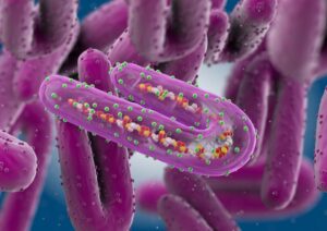 Marburg Virus Outbreak